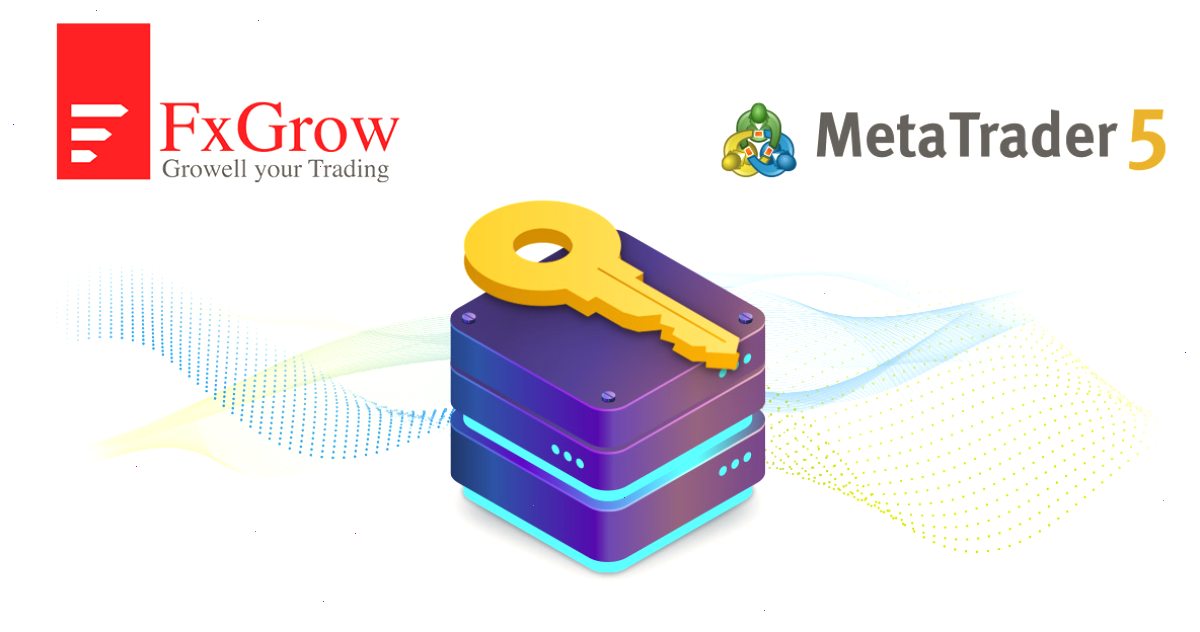 FxGrow Limited: “MetaTrader 5访问服务器主机服务拥有其他提供商无法比拟的优势”
